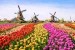Irro Reisen | Busreise | Tulpenblüte in Holland